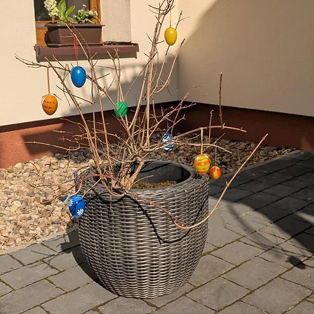 Appartement Avila , Stadtmitte