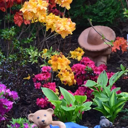 Avila , Stadtmitte Apartment